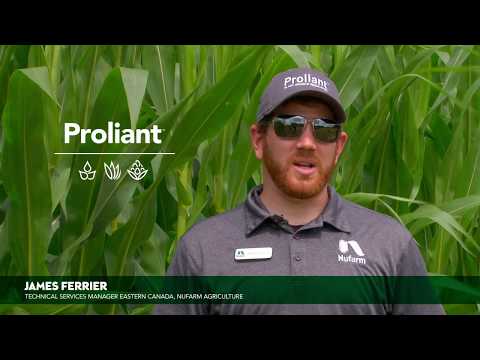 Ask A Nufarmer   Proliant Plant Growth Regulator