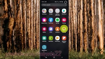 Samsung Galaxy S10 : How to enable or disable view attribute inspection (android pie)