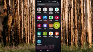 Samsung Galaxy S10 : How to enable or disable view attribute inspection (android pie) screenshot 4