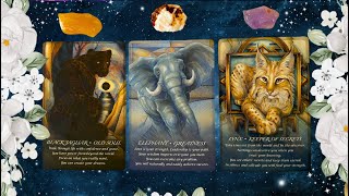 How you THINK they feel VS how they ACTUALLY feel about YOU! 🔥 👀 🐸 🤔 PICK A CARD 🔥 👀 🐸 🤔  TIMELESS