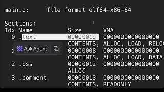 Program Diassembly