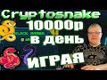       cryptosnake play to earn snk