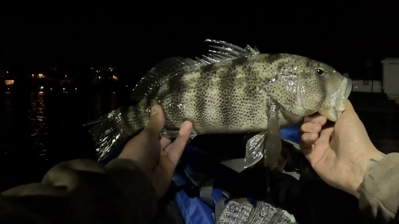 KAYAK HUNTING For Big Bass at NIGHT!