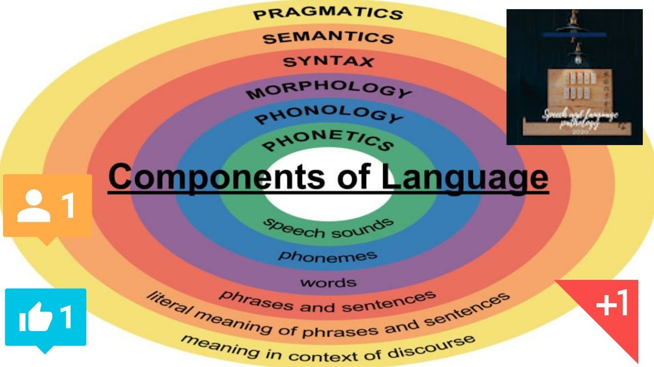 components of language