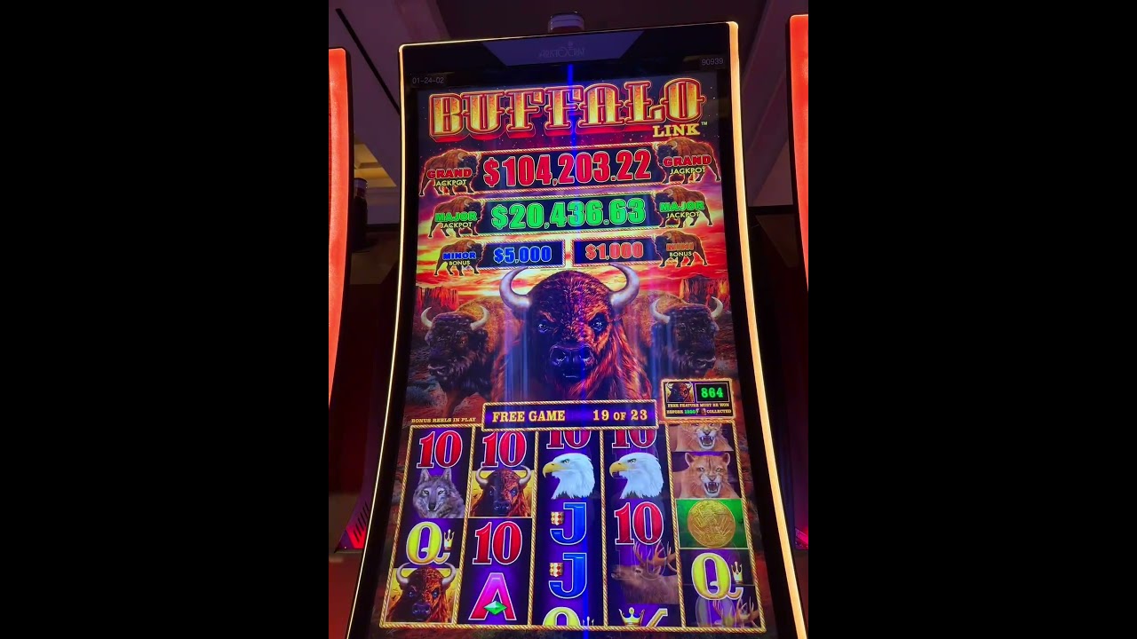 Free Spins On Buffalo Link Slot $25 Dollar Pulls At Hardrock Tampa 