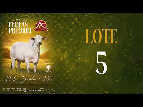 LOTE 5 ARFS 206