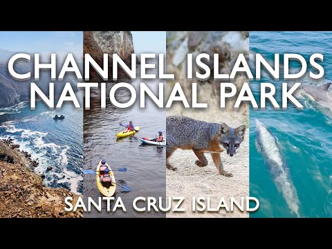 Video: Channel Islands National Park - vet innan du reser