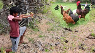 Primitive Technology: Cooking And Hunting | Chickens And Eating Delicious | In Hunter Cooking