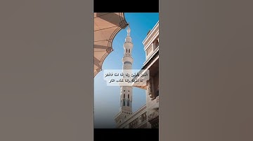 قران كريم ماهر المعيقلي