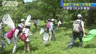 子どもたち皇居で虫捕り　自然観察会　都会の自然で(15/05/18)