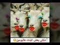 صور مضحكة