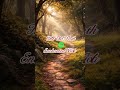 The Old Path | Viola Ambient. Music for focus, study, calm, and dreamy moments #Study#Focus#Calm