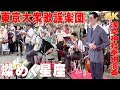 「燦めく星座」#東京大衆歌謡楽団 (歌詞つき) 2018/6/17浅草神社・奉納演奏【4K】