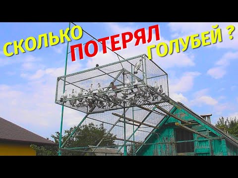 Залёт Молодых Голубей что пошло не так