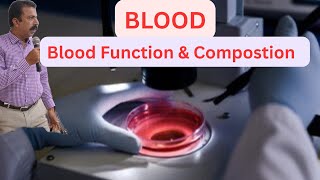 Blood and it’s function | Blood Composition | Hindi | Urdu