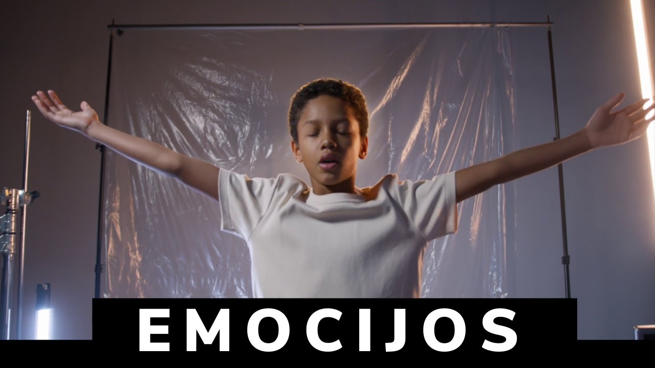 Emocijų suvokimas ir integravimas - Minvydas Blinkevičius