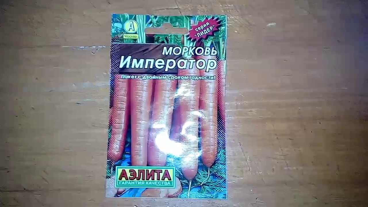 Ознакомление с морковью Император