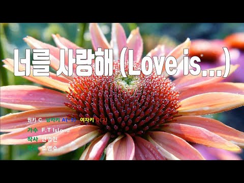 [은성 반주기] 너를사랑해(Love is...) - F.T Island
