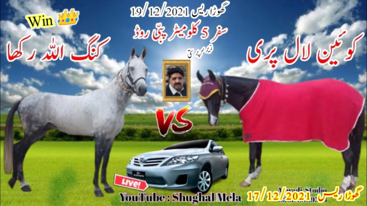 Allah Rakha Vs Lal Pari Horse Race 19/12/2021 Pabbi Race