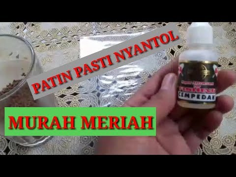 UMPAN PATIN PALING AMPUH DAN SIMPLE