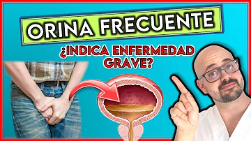 ¿Cómo puedo dejar de orinar con frecuencia?