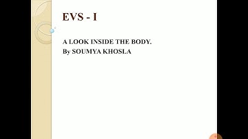 EVS - 1 - A Look Inside the Body