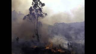 Iraimbilanja - Tanin-dolo