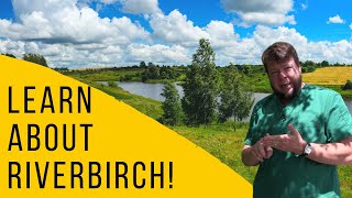 Learn about River Birch! Medicinal Benefits!