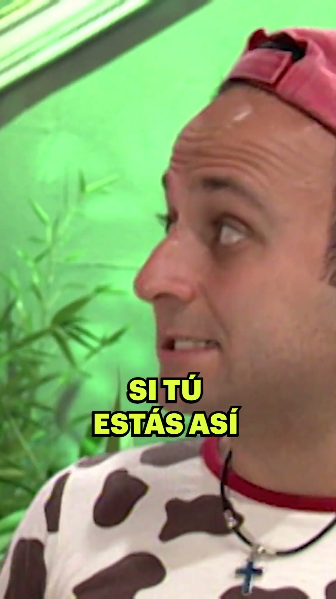 Por eso decía, pobre Búho ? #Vecinos #humor #Comedia