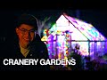 Greenhouse christmas lights holiday centerpiece cooking easy thai noodles