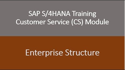Video 03 - SAP S/4HANA Customer Service (CS) module Training - Enterprise Structure.