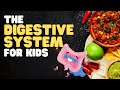 The Digestive System for Kids | A fun engaging overview of what happens when we eat!