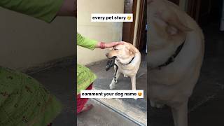 Pet story  || labra rubi || #youtubeshorts #shorts #labrador #dog #emotional #viral #tending #cute