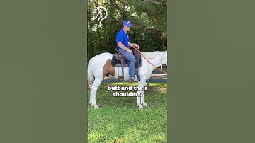 How To Get A Fluid Sidepass! Part 2! | The Horse Guru-Michael Gascon