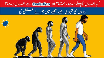 Did We Evolve From Monkeys? Darwin