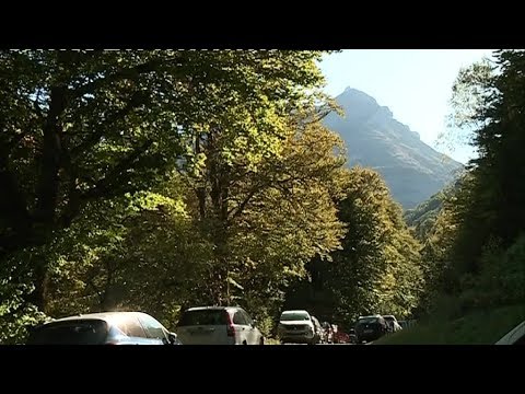 Ourses dans le Béarn : première campagne d'effarouchement ce matin