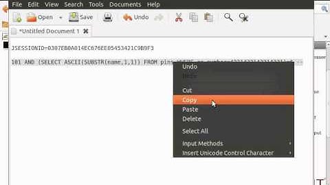 WebGoat 5.3 - Blind String SQL Injection