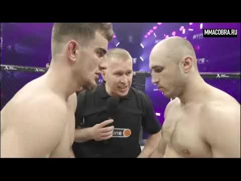 Бой шавхал