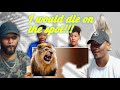 These Animal Encounters are INSANE! | Reaction