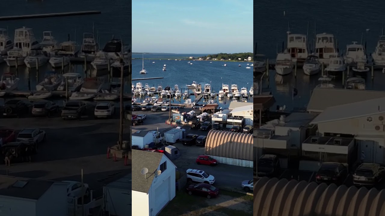 Drone Vertical MP4