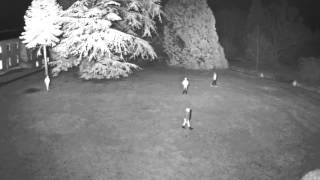 Axis P3367 with RM300-AI-PAN 180 degrees at 75-80m (Infra-Red)