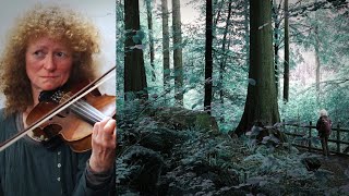 TRADITIONAL MUSIC SESSION | Finnish tunes | ft. Coed y Brenin