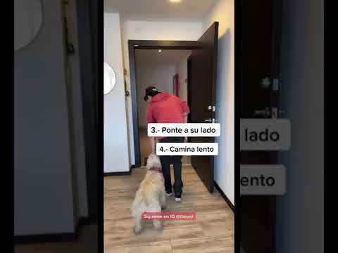 Rutina infalible para