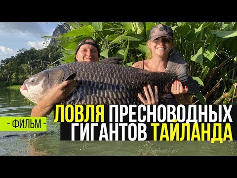 САМЫЕ БОЛЬШИЕ РЫБЫ В МИРЕ! Ловля пресноводных гигантов Тайланда