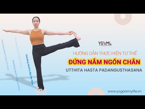 Video Yoga