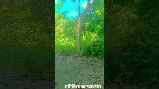 নবীজির আম্মাজান মাশাআল্লাহ#shorts #islamic