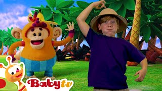 Maymun Görür Maymun Yapar 🙊​​ | Giggle Wiggle ✨|Dans Partisi Şarkıları ve Tekerlemeler💃🏻​🕺🏻@BabyTVTR