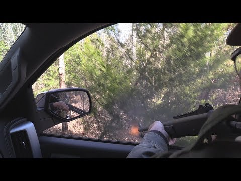 Christmas Tree Drive-By 2018