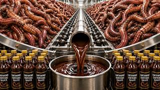 How Millions of Earthworms Are Turned Into Dipping Sauce | Inside the Factory