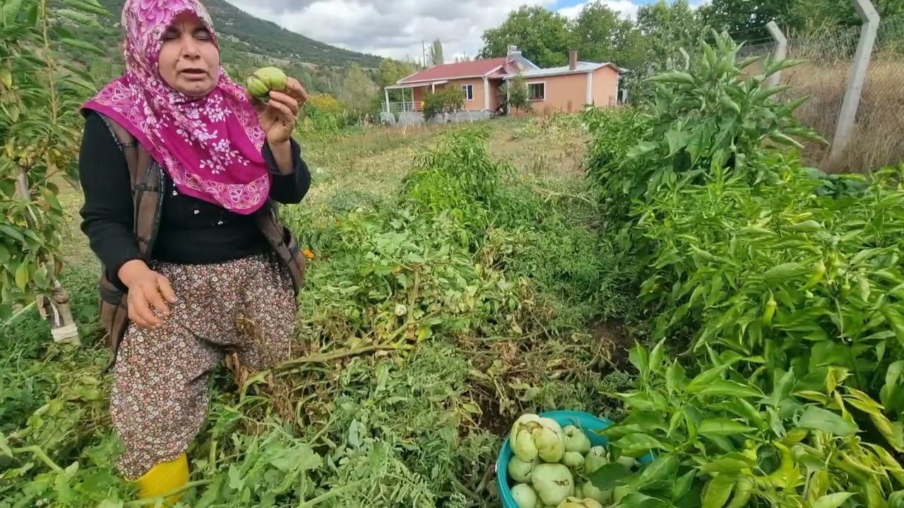 Ekim Ayı bahçemin son halleri 2025 en çok sevilen videom 